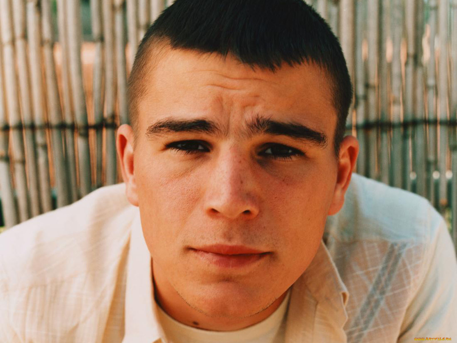 josh, hartnett, 